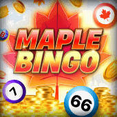 Bingo de Arce screenshot